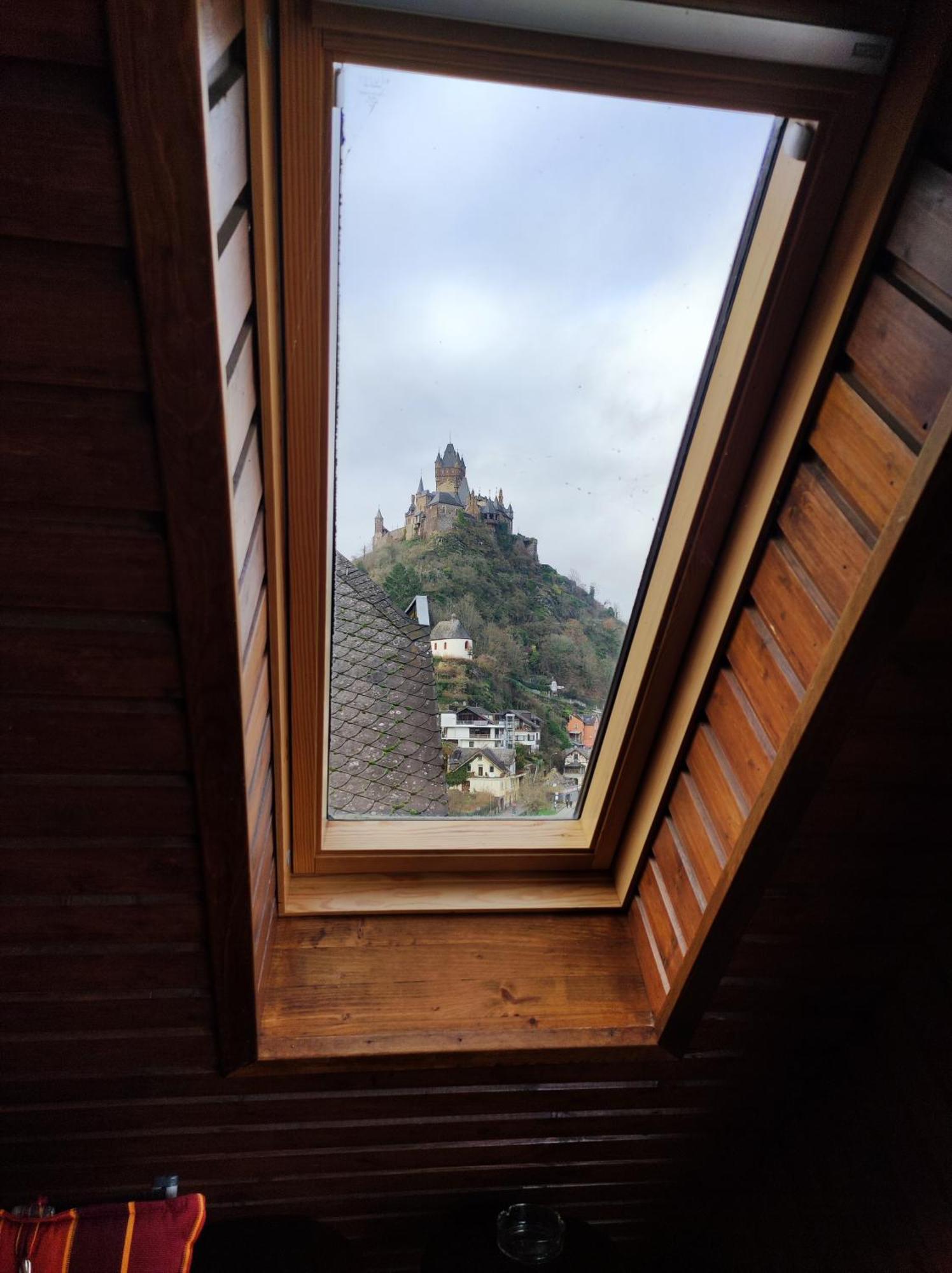 Panorama Oase Mit Blick Auf Mosel Und Reichsburg *